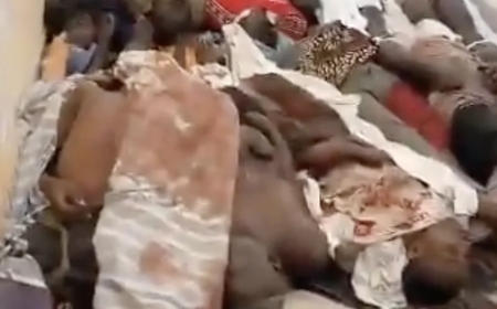 ‘Oh my God, this is our Tanzania’: CNN investigation shows police fatally shooting protesters, signs of mass graves