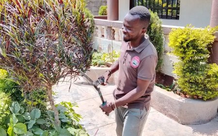 Transform Your Home or Office with Joshua Nairobi’s Professional Green Doctor.