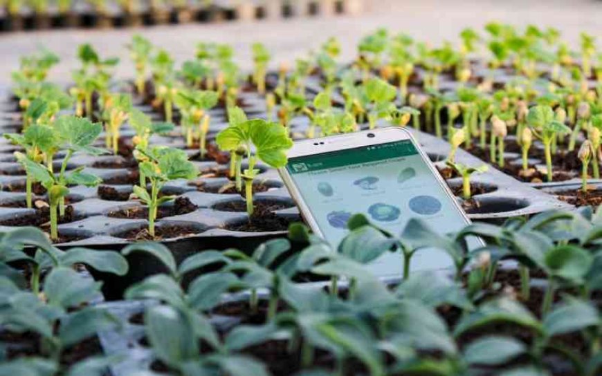 Who will lead Kenya's AI revolution and who will fall behind